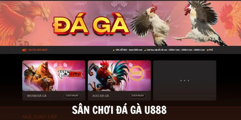 Sảnh đá gà U888